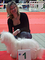 Callie à l'exposition d'Angers 2008